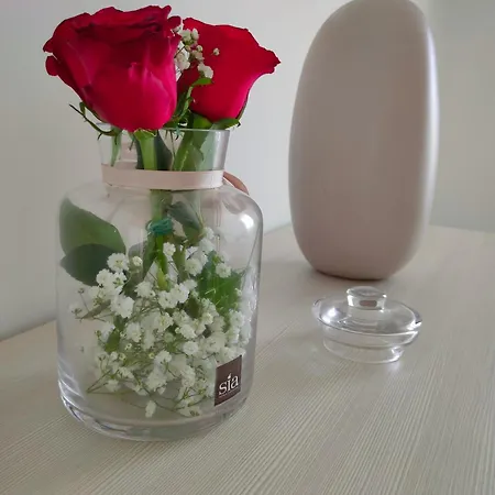 아파트 Serao House, 2 Piano In Centro 몬드라고네